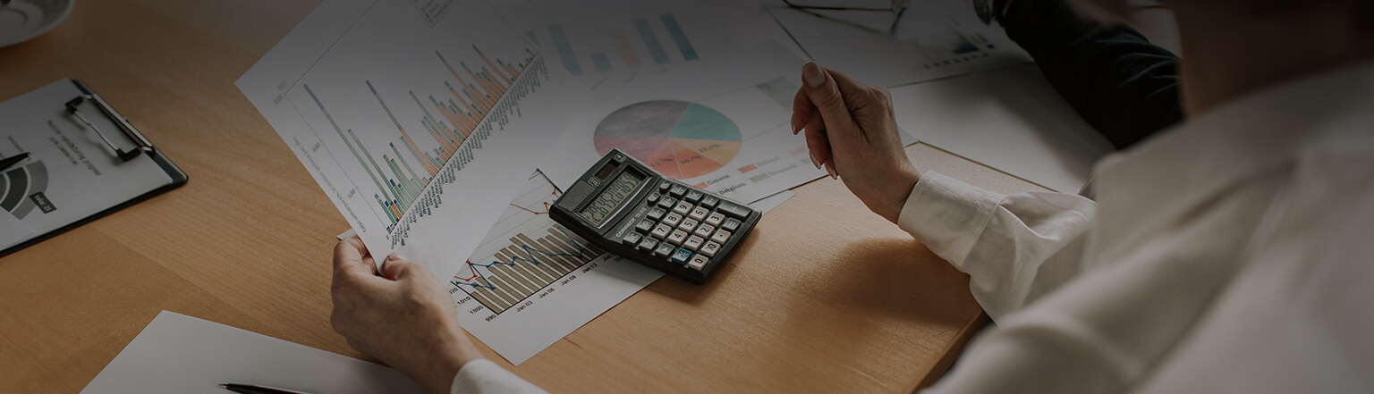 Audit protection and professional accounting support