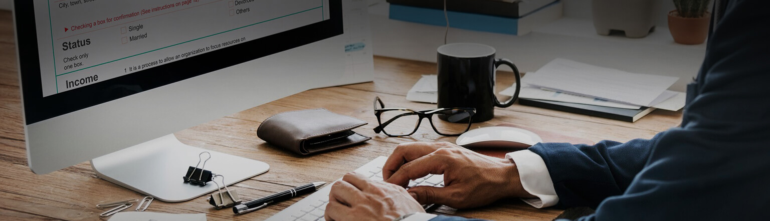 Professional tax preparation and filing services