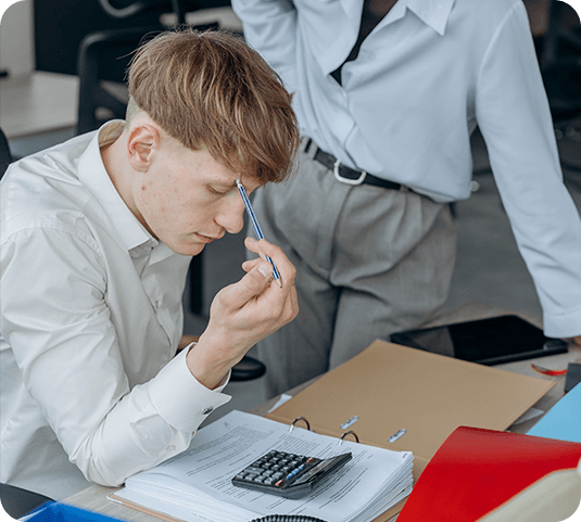 Professional tax preparation and planning services for individuals and businesses